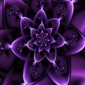 Meet your Posher, Joyce